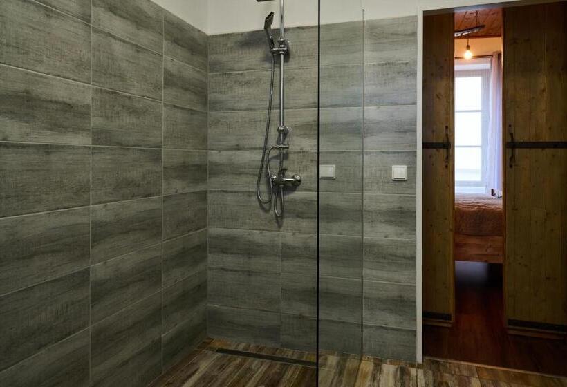 پانسیون Dům U Lázní