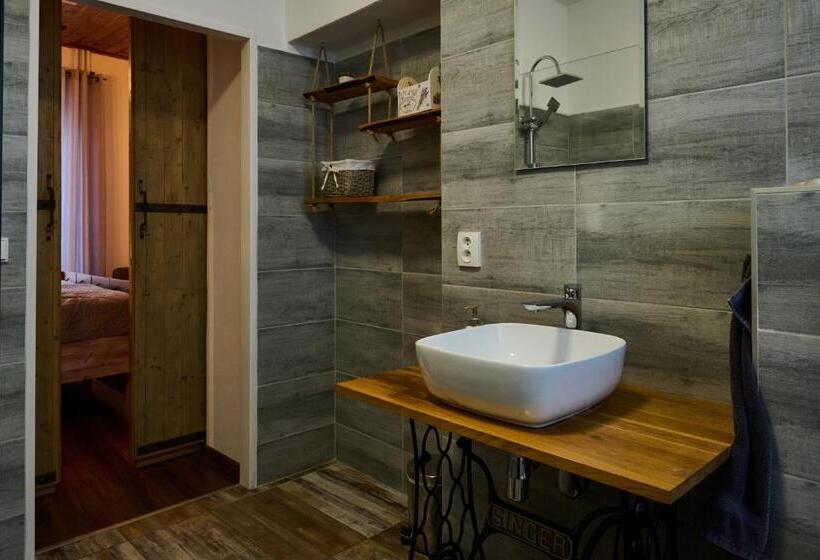 پانسیون Dům U Lázní