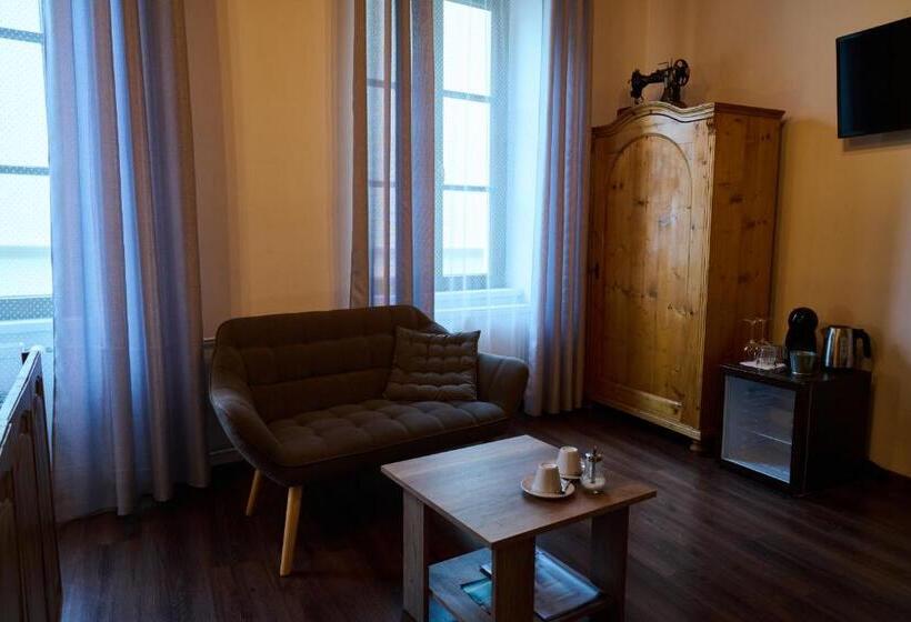 پانسیون Dům U Lázní