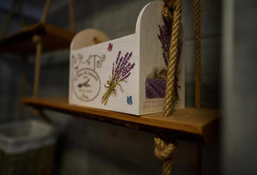 پانسیون Dům U Lázní