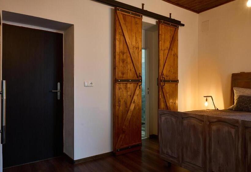 پانسیون Dům U Lázní