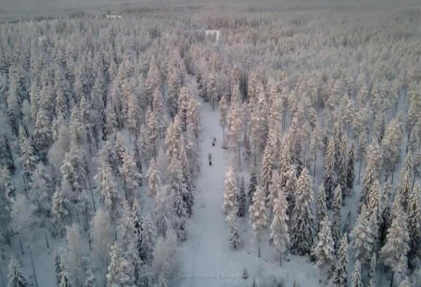 استراحتگاه Old Pine Husky Lodge