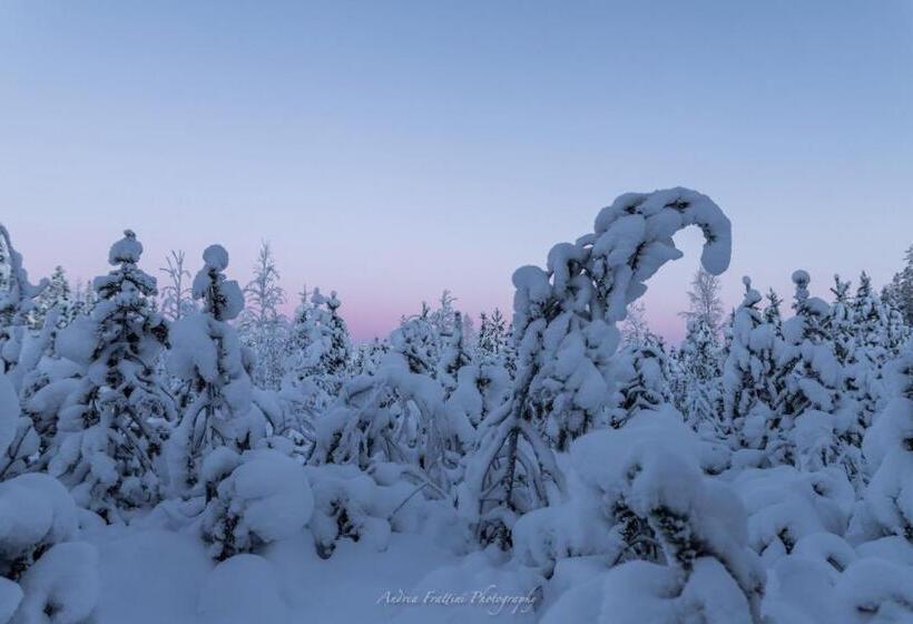 استراحتگاه Old Pine Husky Lodge