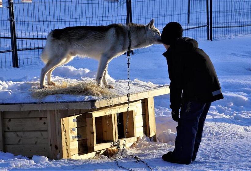 استراحتگاه Old Pine Husky Lodge