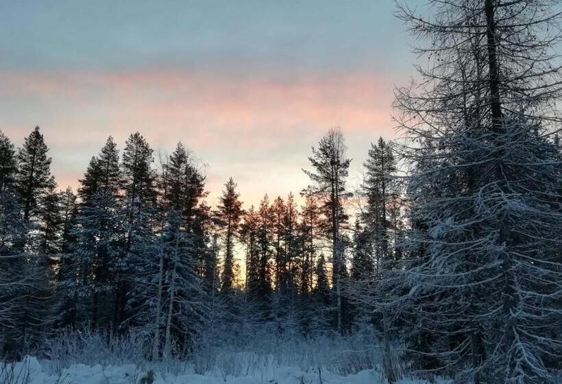 استراحتگاه Old Pine Husky Lodge