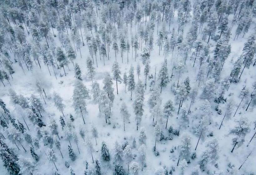 استراحتگاه Old Pine Husky Lodge