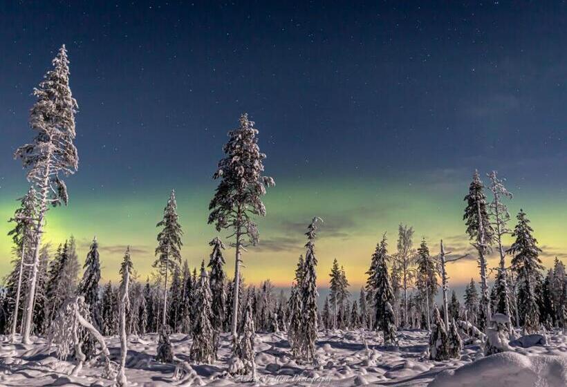 استراحتگاه Old Pine Husky Lodge