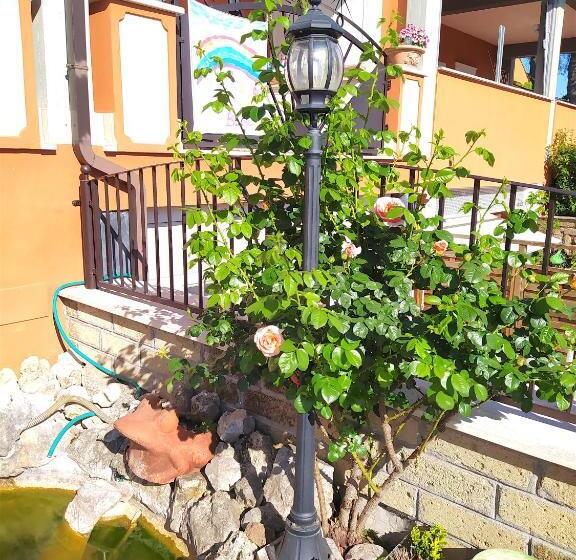 住宿加早餐  Da Zia Piera