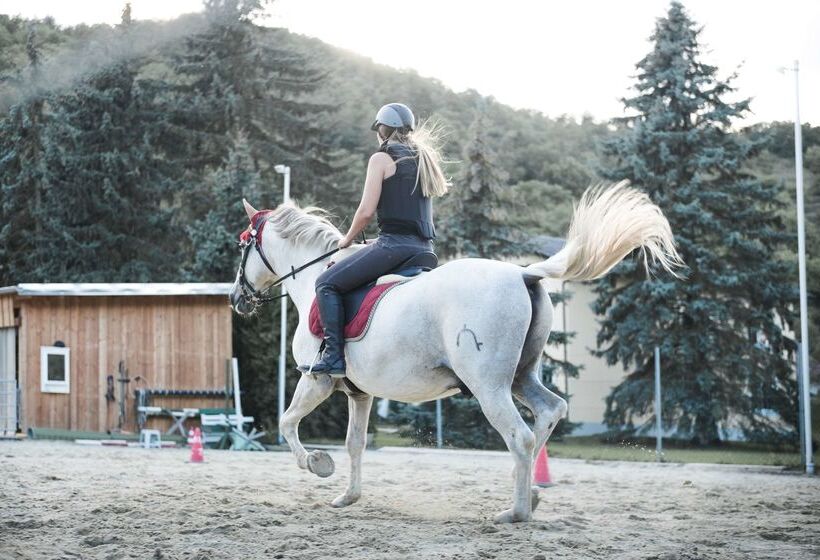 酒店 The Originals City, Hôtel Paris Sud, Orly Draveil