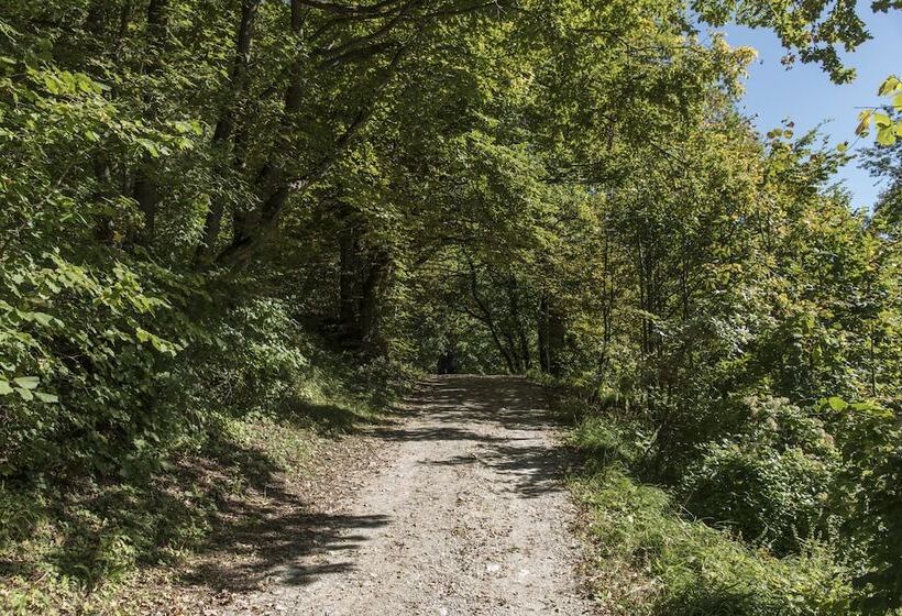 فندق Burg Altpernstein