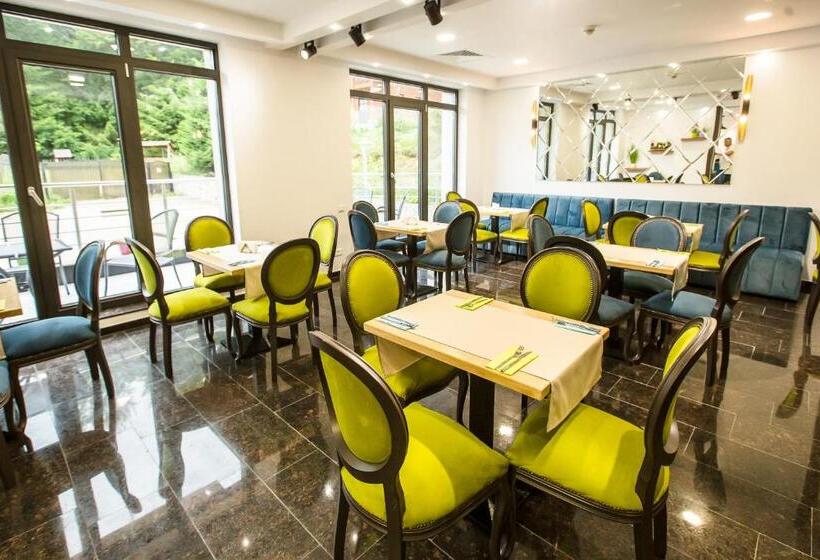 استراحتگاه Carpat Inn