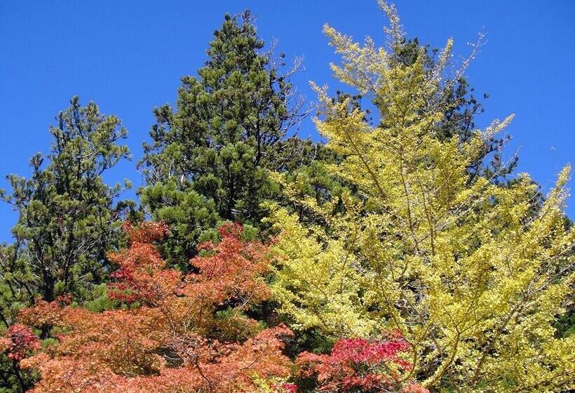 Riverside Hostel B&b – Hostel