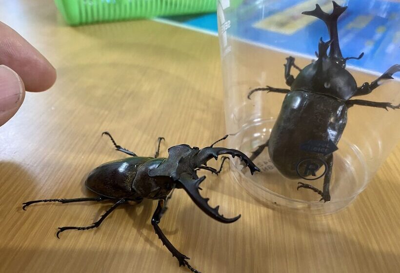 Riverside Hostel B&b – Hostel