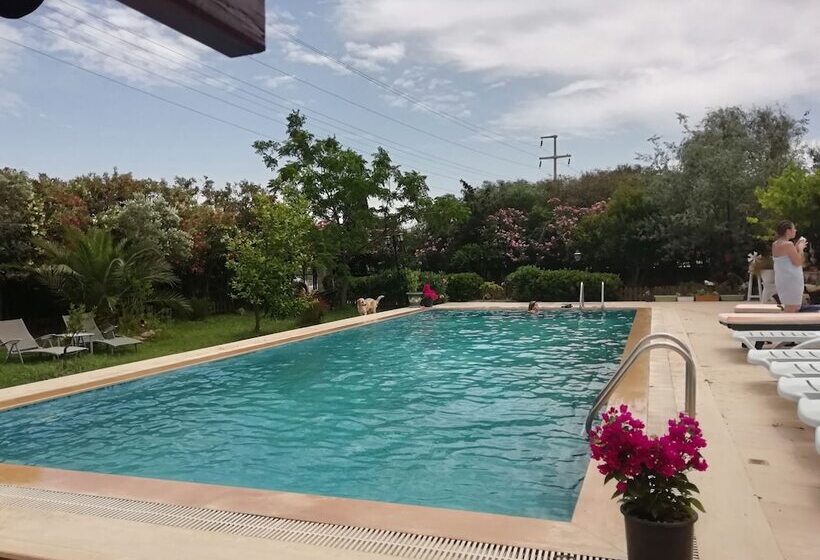 هتل Green House Boğaziçi – Dodo House