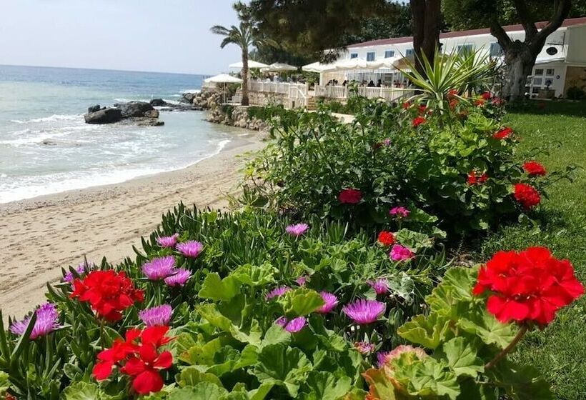 فندق Marvel Tree