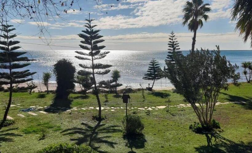 فندق Marvel Tree