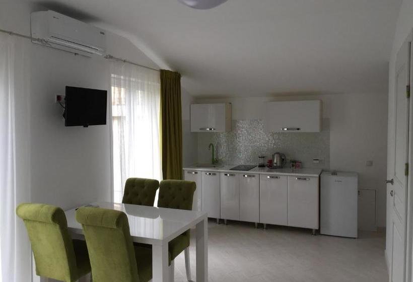 بنسيون Guest House