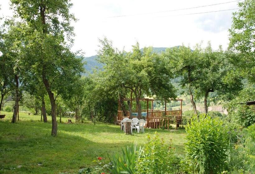 پانسیون Laila Guest House