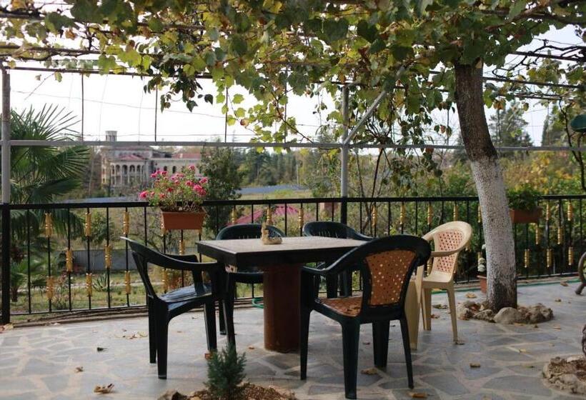 پانسیون Tsivi Tba