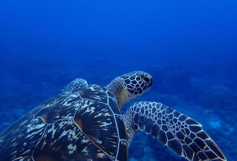 Good Hostel 好棧 Green Island