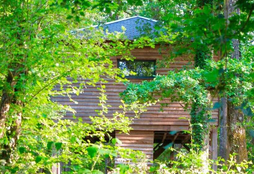 هتل Ecolodges De Loire & Spa