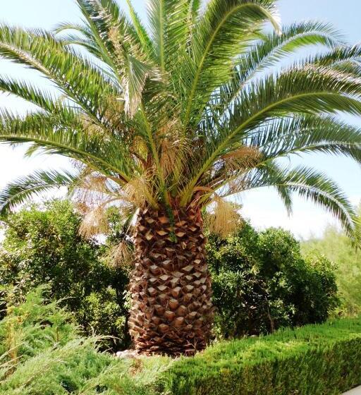 Priscapac Resort & Apartments