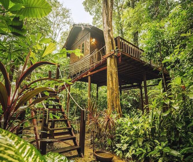 فندق Our Jungle House