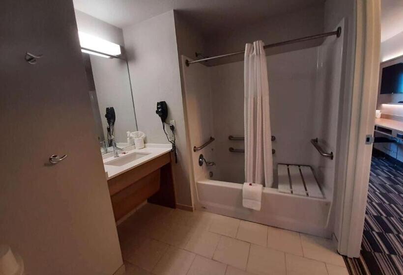 Microtel Inn & Suites By Wyndham Loveland