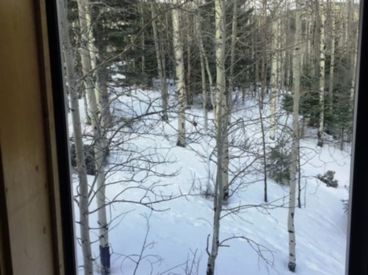 Cabin Share Phase 2