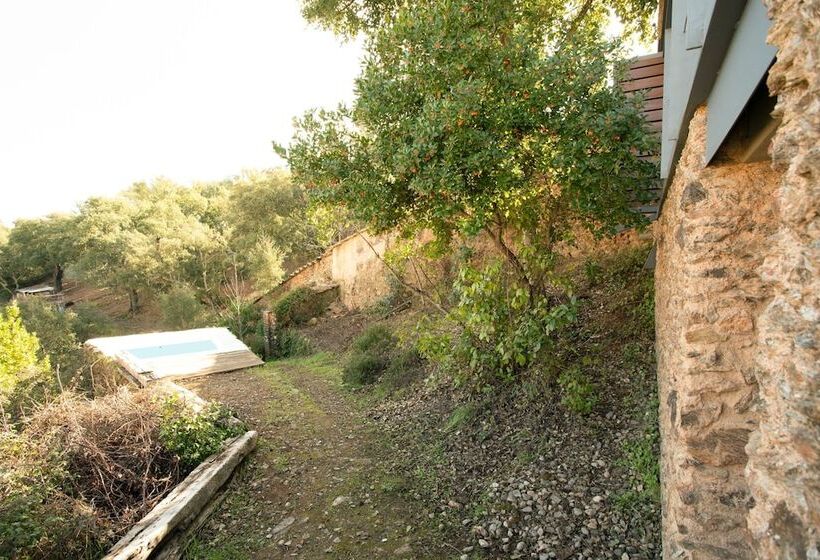 El Risco Del Lomero