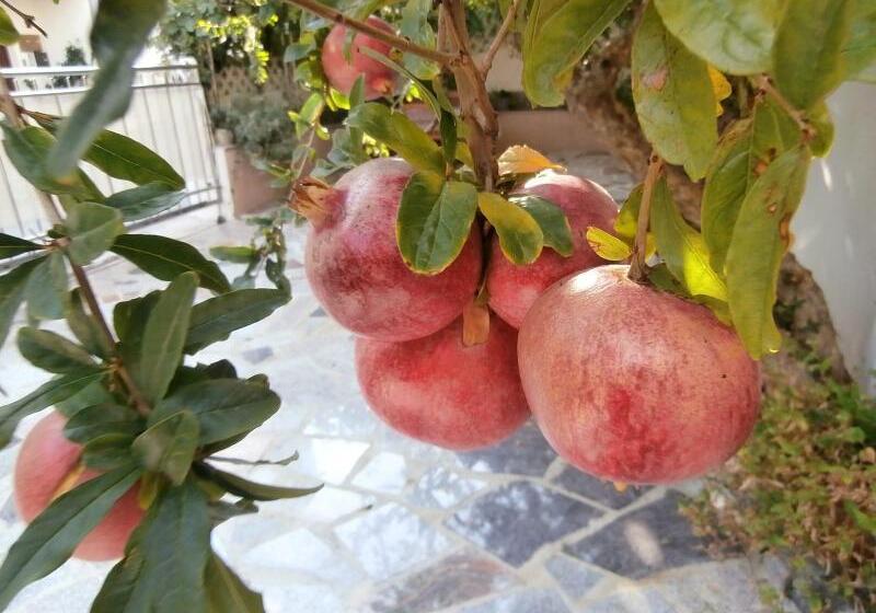 پانسیون Apartments Song