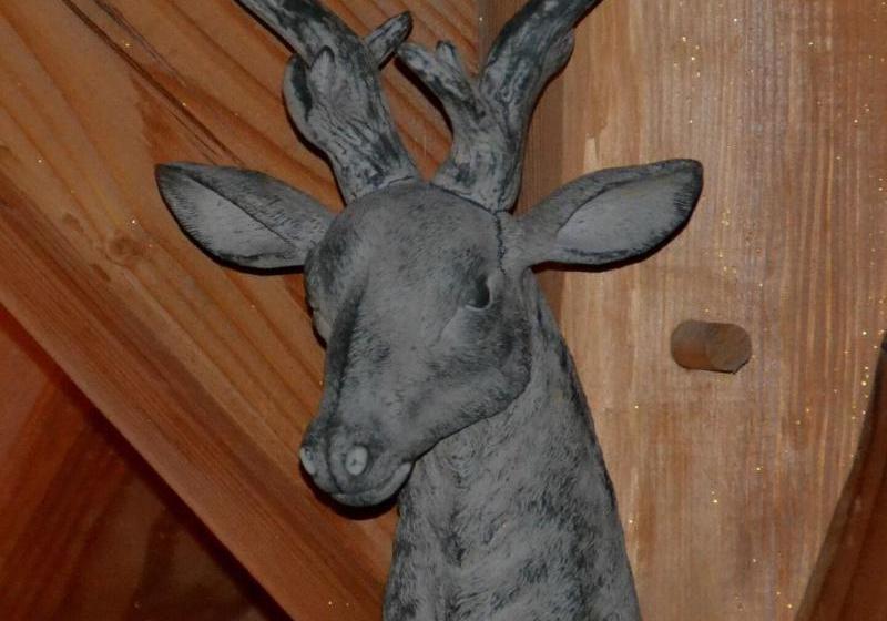 ペンション Le Cerf Che  Near Aravet Gondola