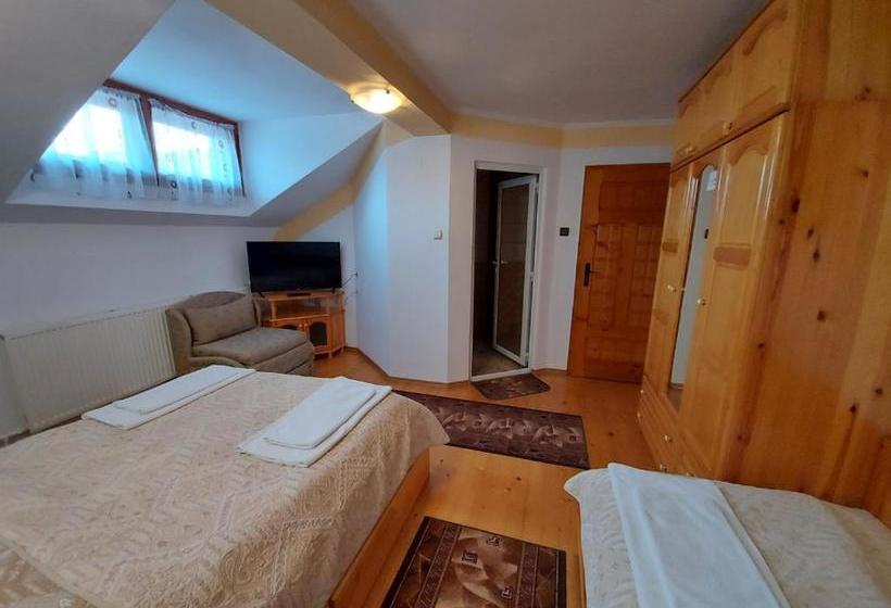 Пансион Vitosha Guest House