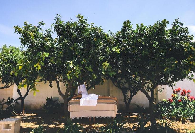 استراحتگاه Masseria D'erchia