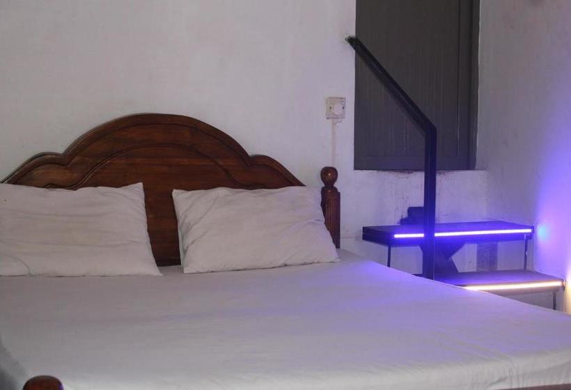 住宿加早餐  Bird S Nest By Natures Bliss