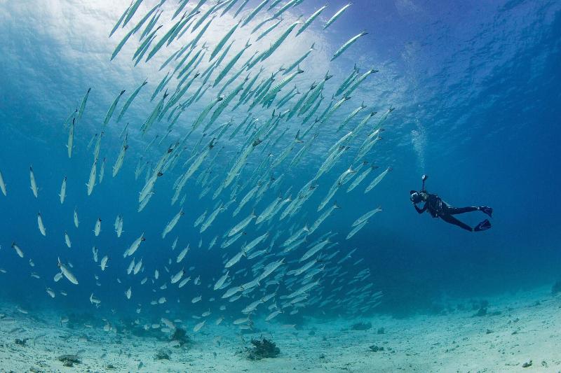 Отель Le Méridien Ile Des Pins