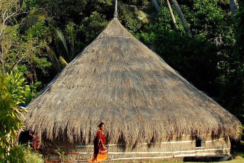 Отель Le Méridien Ile Des Pins