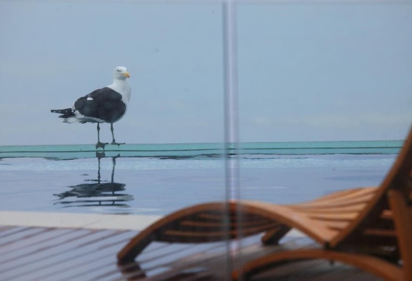 هتل Periwinkle Lodge Guest House