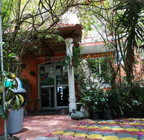 هاستل Hostal Chimenea