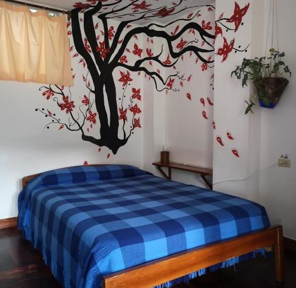 هاستل Hostal Chimenea