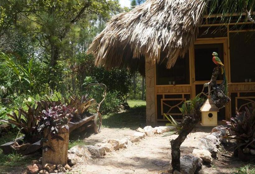 בית מלון כפרי Pine Ridge Lodge