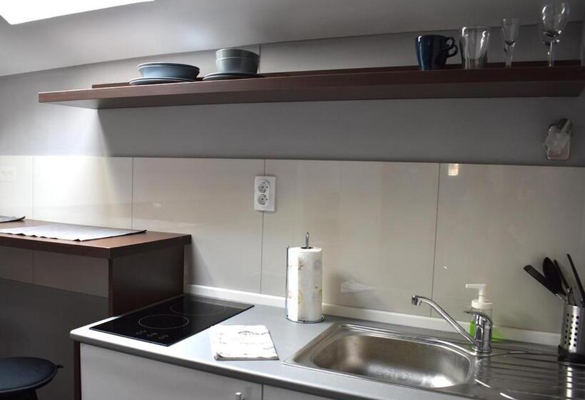 پانسیون Apartmani Zrenjanin