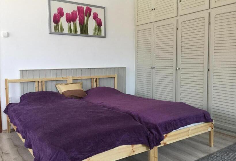 פנסיון Avas Apartman