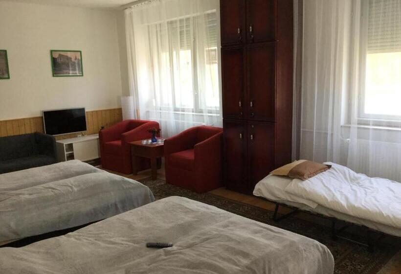 פנסיון Avas Apartman