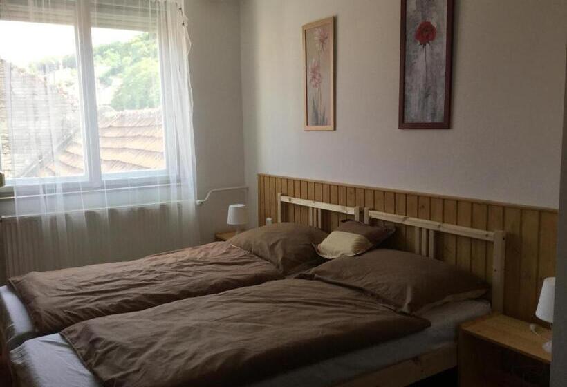 פנסיון Avas Apartman