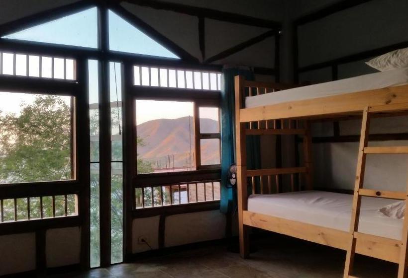 پانسیون Cielo Hostel