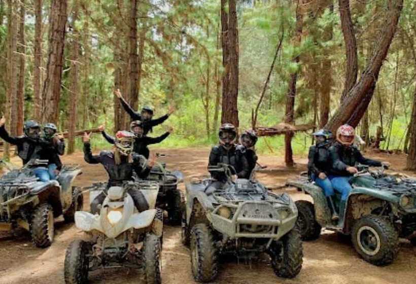 هتل Boutique & Spa   Vdl Colonial