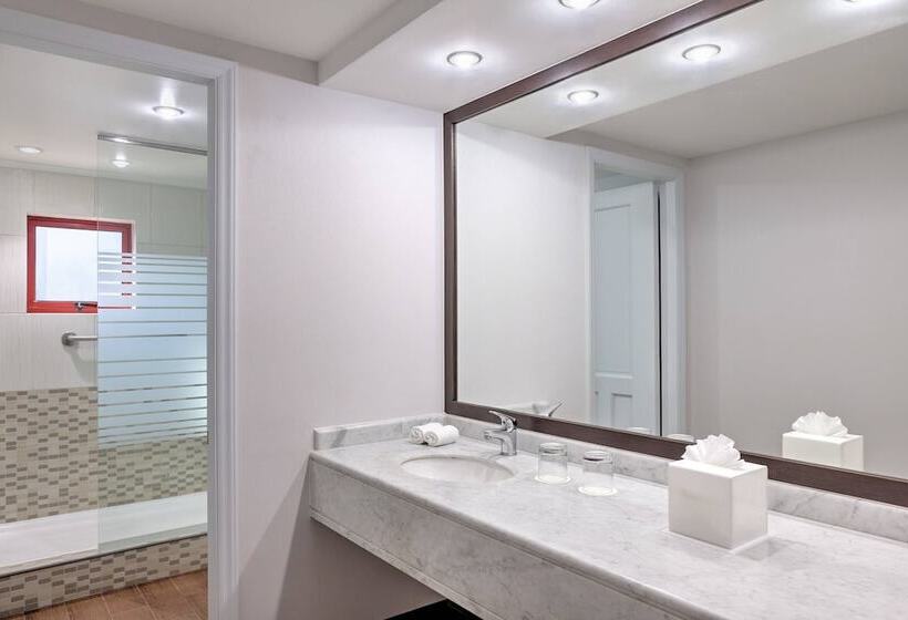 هتل Four Points by Sheraton Santiago