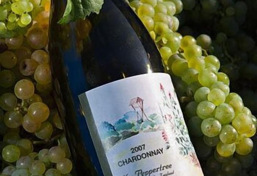 هتل The Peppertree Luxury Accommodation