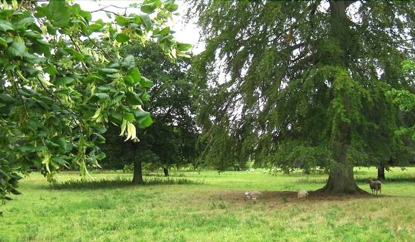ベッドアンドブレックファースト Apple Tree Cottages